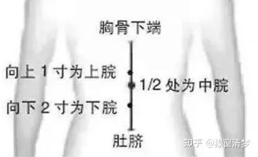 倪海厦针灸课笔记(05)- 任脉之水分、下脘、中脘、巨阙及基本补泻手法 - 知乎