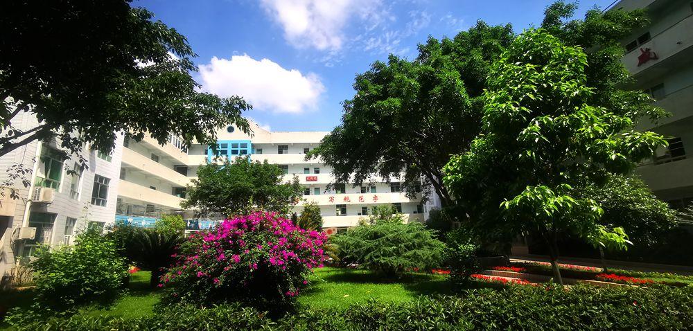 那一抹绿树荫荫,碧草青青龙泉中学校寄给你↓↓↓今天,我特意把你想要