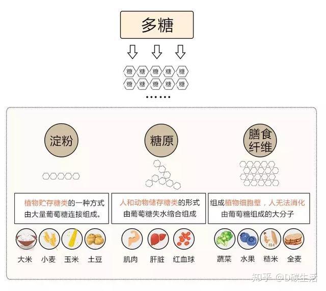 碳水化合物的分类图片