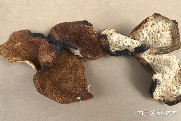 新会陈皮被虫蛀了还有用吗