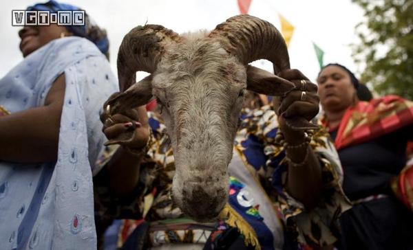 在美国丧尸的身躯中埋藏着海地人民的血与肉