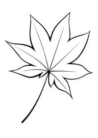 网页版nauty maple使用指南