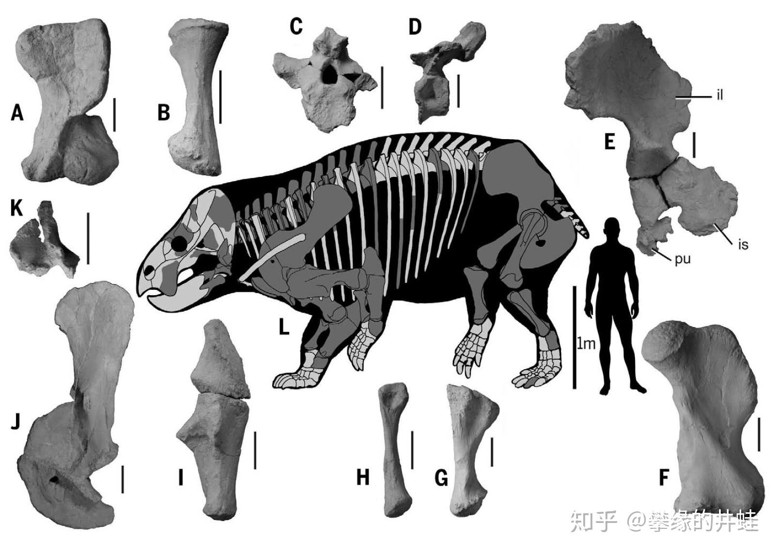 第二百五十四回百獸圖8鼎肉烝豚