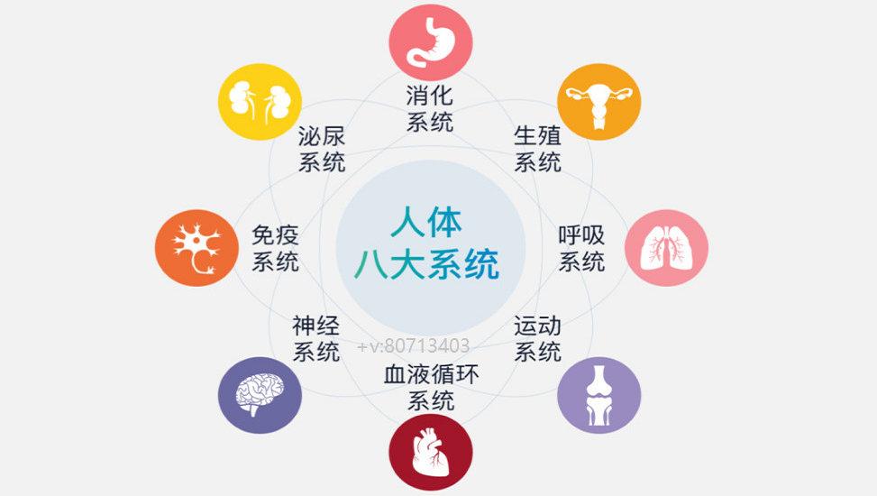 什么是代谢？如何提高代谢率？哪些食物可以提升身体的代谢？ - 知乎