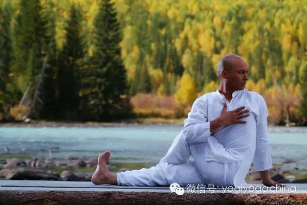 悠季瑜伽四川学院开业放大招默瀚老师领衔第一式11月14日瑜伽教培课程