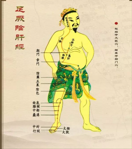 因为肝主筋,在《黄帝内经》中男子的生殖器被称做"宗筋".