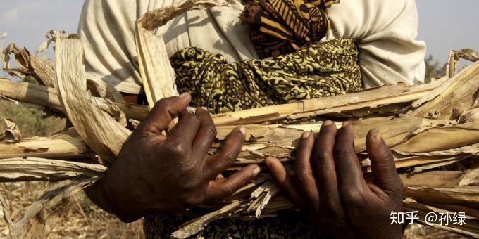 非洲适合发展农业吗?