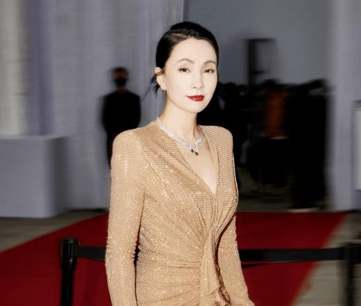 徐峥被实名举报偷漏税!起底徐峥陶虹的惊人资产,远超你的想象(徐峥陶虹一起演的电影)