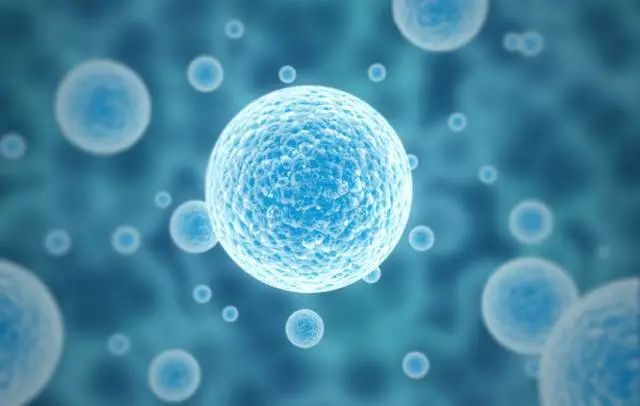 科普干货间充质干细胞人体修复大师