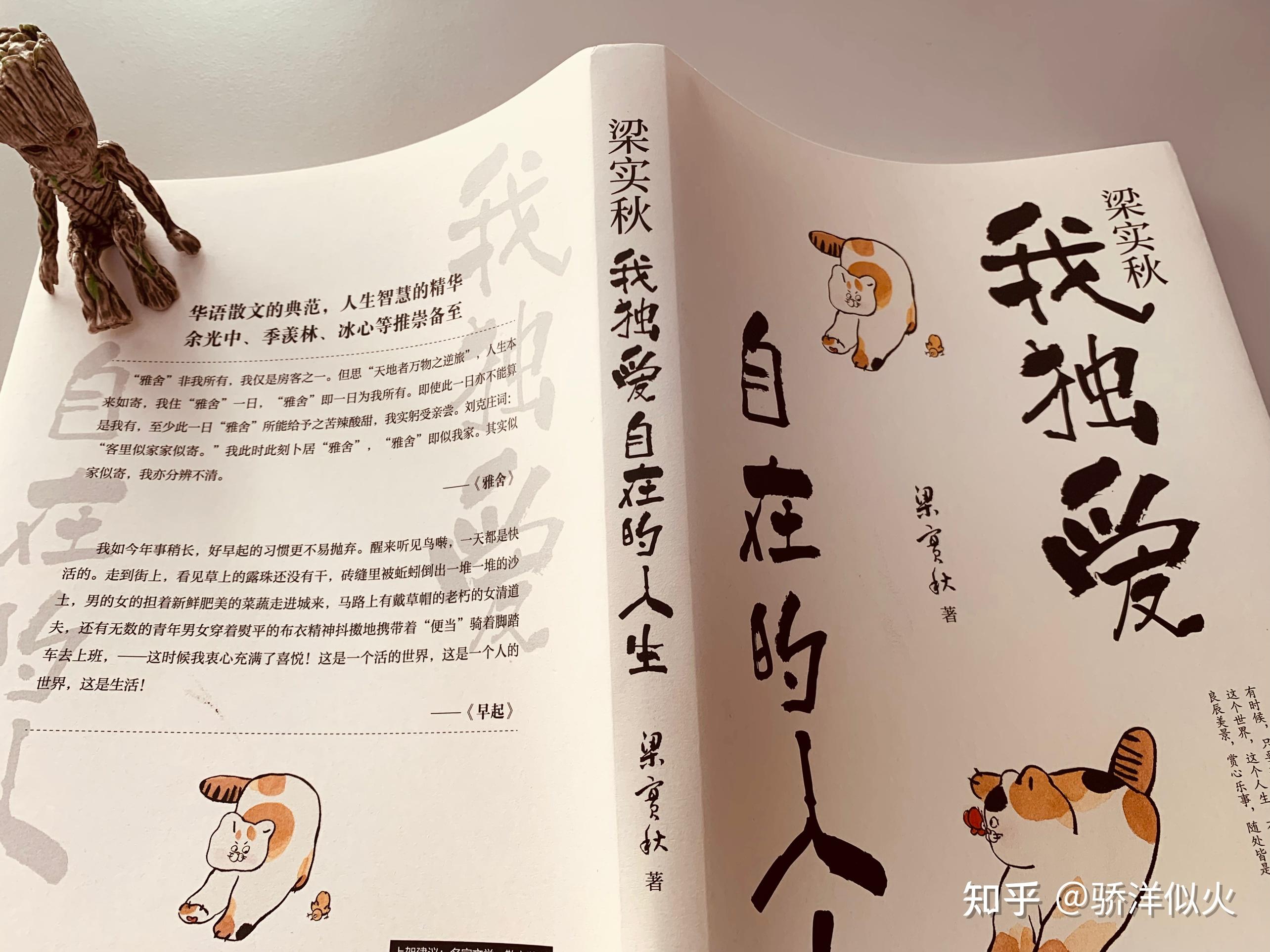 在人生中品味自在