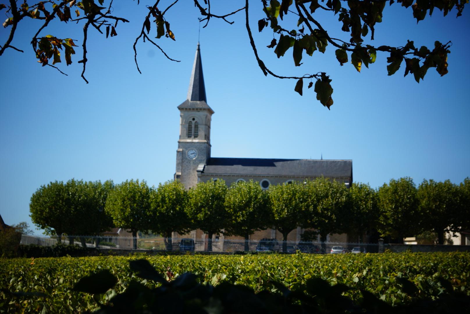 漫步葡萄酒的香榭丽舍大街勃艮第特级佳酿之路