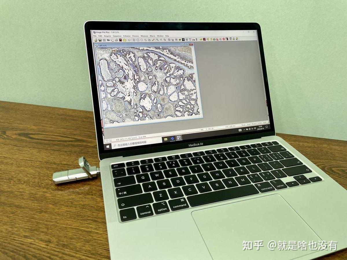 随时随地让苹果电脑用上Windows系统?WinToGo明显更适合!-用苹果电脑做的ppt用普通电脑为什么打不开