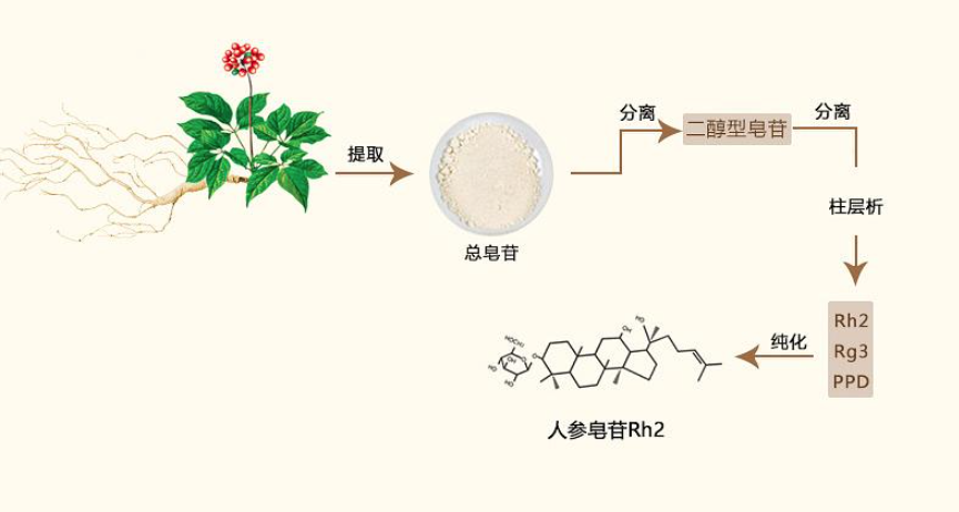 人参皂苷产品太多如何选业内人道出了行业秘密