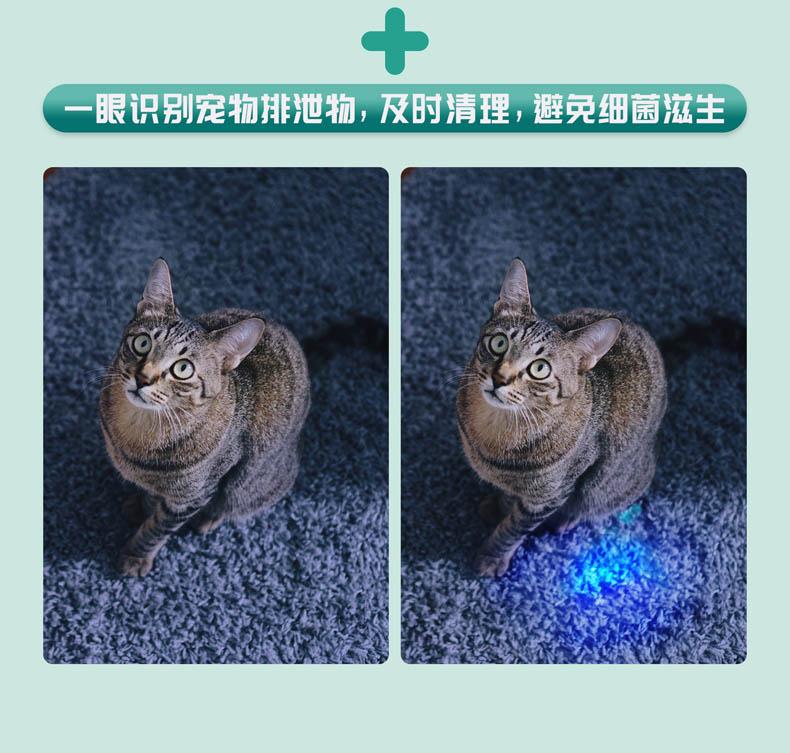 专业伍德氏猫癣灯