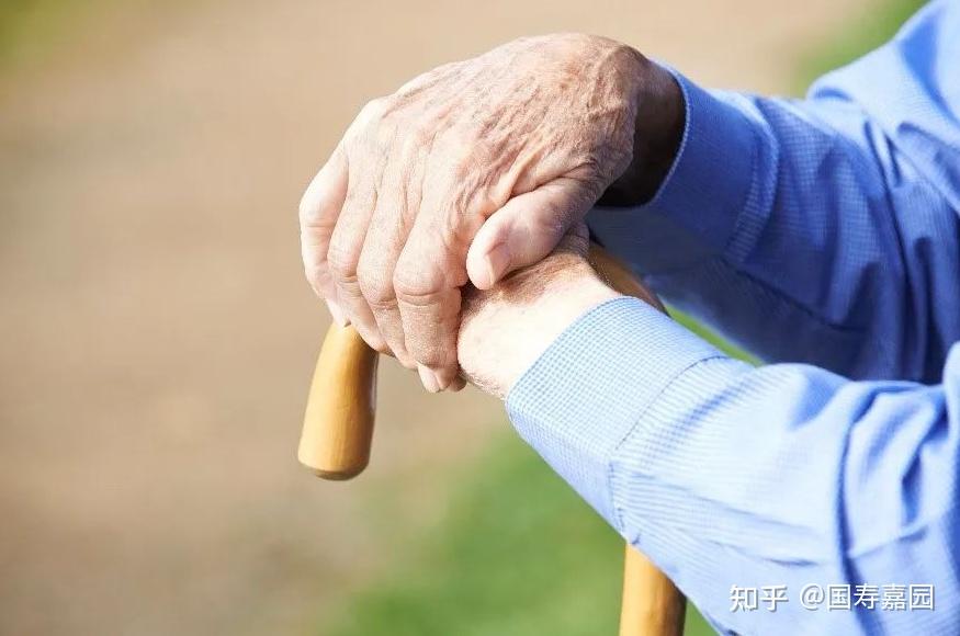 ����Ӧ���ܺ��Լ��ĲƲ�