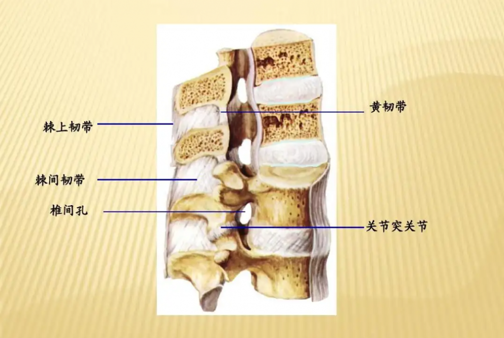 棘间韧带水肿痛到难以起床?和匠中医 一个疗程即可快速治好