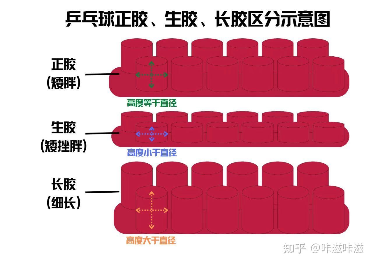 如何选择乒乓球拍，乒乓球拍（底板|套胶）知识，新手入门乒乓球拍推荐，从小白到大神的进阶之路~