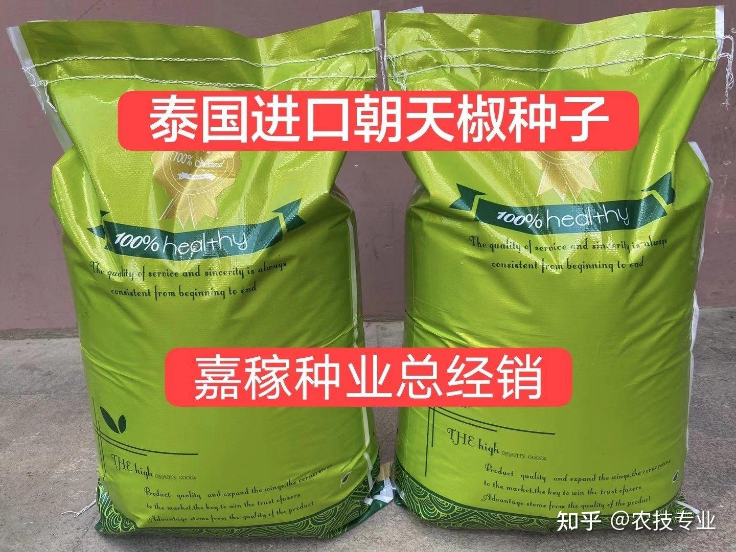 最前沿大果艳红辣椒品种泰国香艳