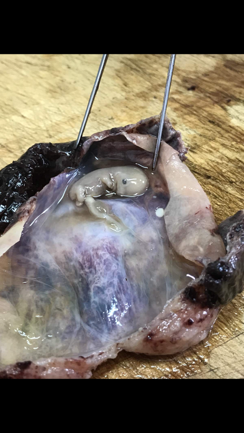 480_853竖版 竖屏