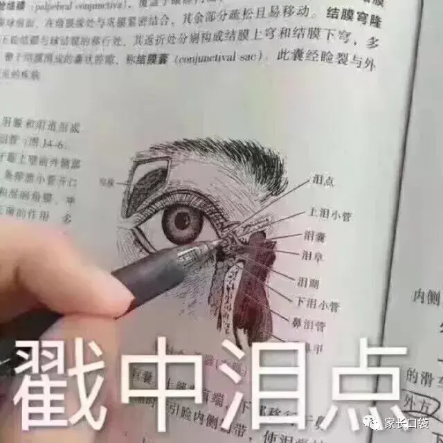 留下了不学无术的泪水这份简历让我条件反射(微信里不是只有跳一跳么?