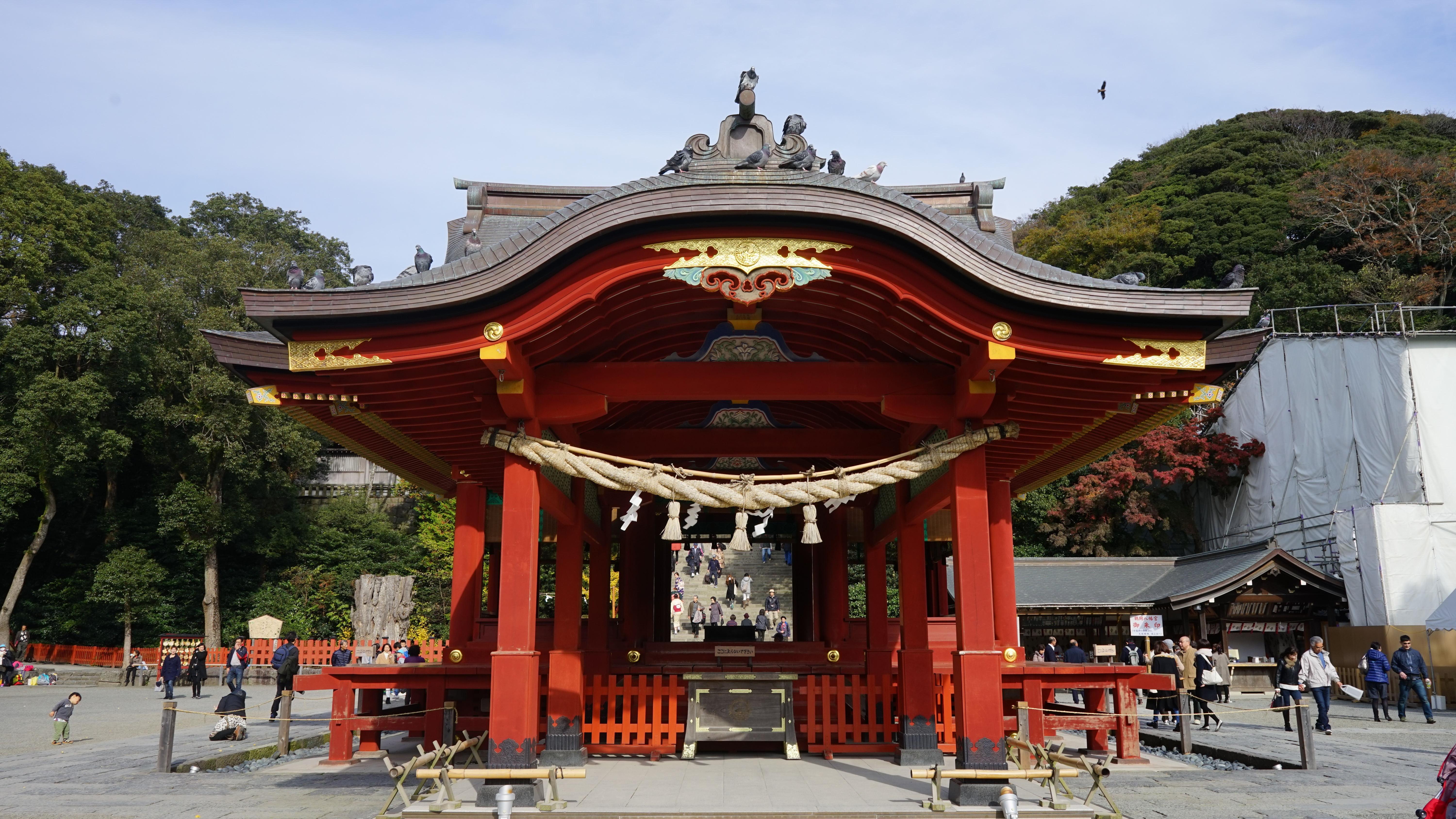 山寺红枫始盛开