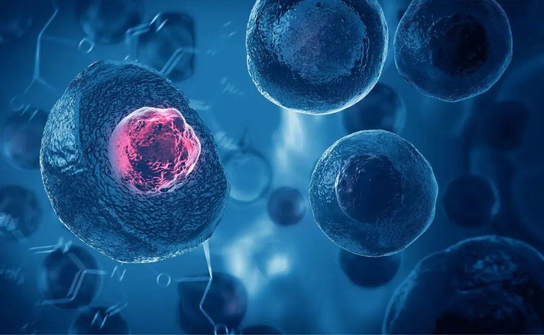 中科西部干细胞研究院nba球星接受干细胞注射治疗干细胞疗法令无数