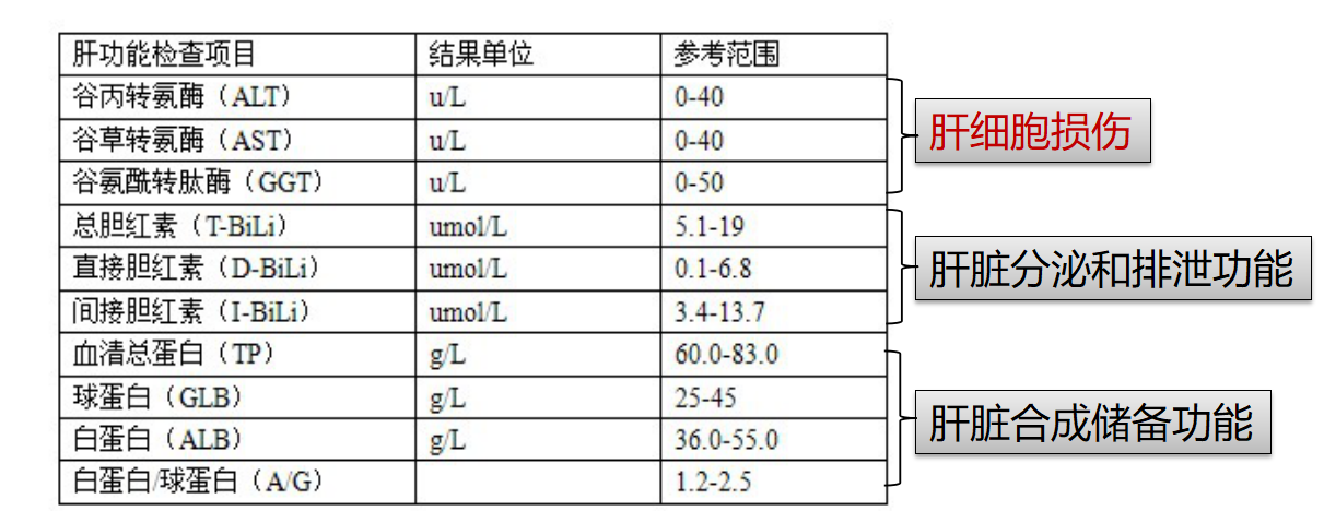 下列是常用的肝功能檢查指標及其解讀:肝功能檢查項目通常包括:肝臟的