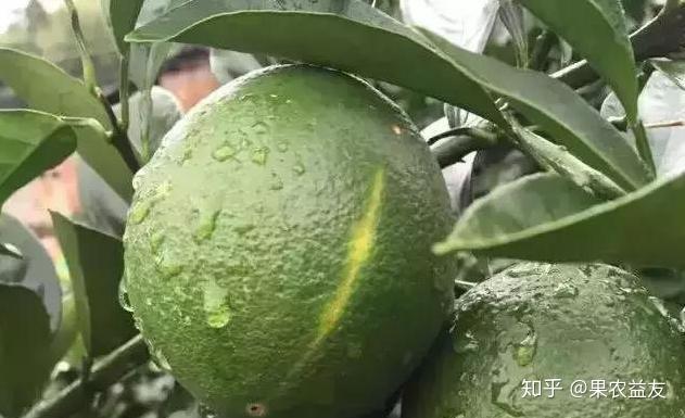 v2-bf60178799693f12ea76b1da38e2ccca_r.jpg