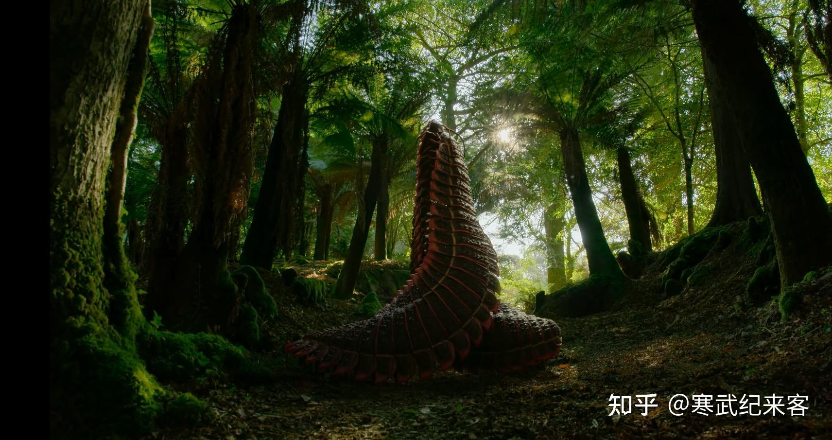 石炭纪,2.6米的巨型千足虫