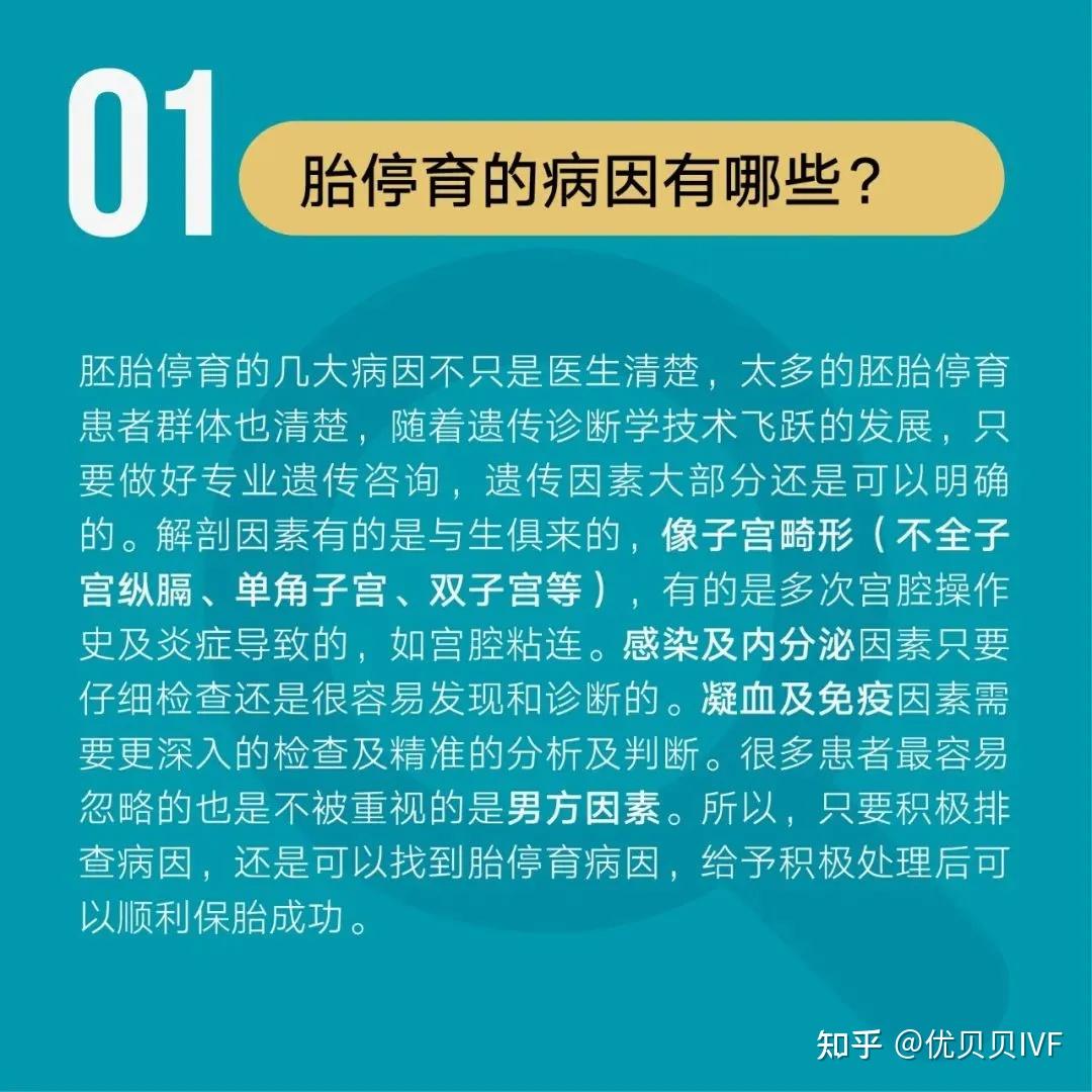 三代试管费用和成功率看好康贝贝专家(三代试管费用是多少 haoyunbang)-第1张图片-鲸幼网