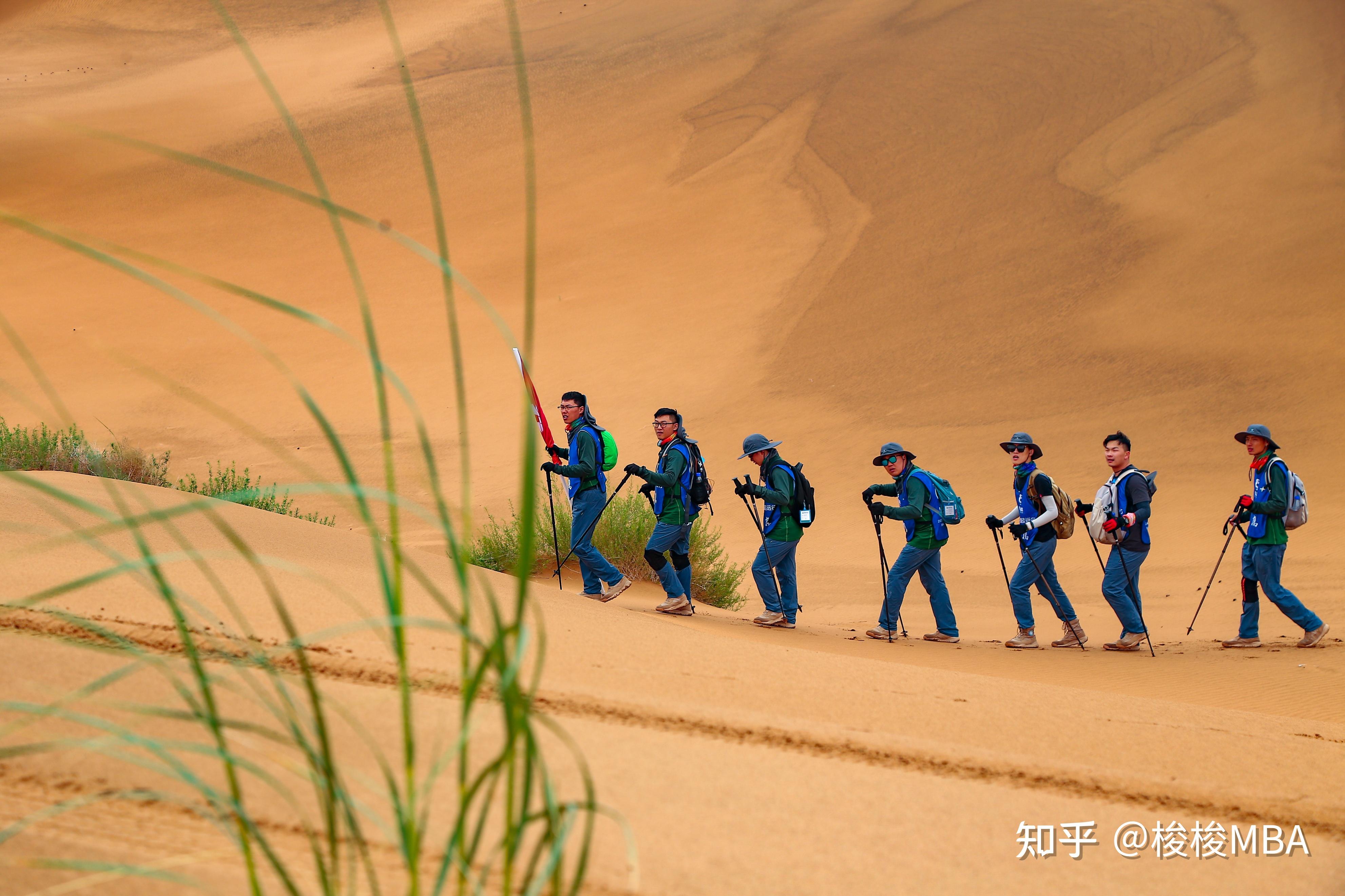 沙漠团建，为什么一定要分组进行？ - 知乎