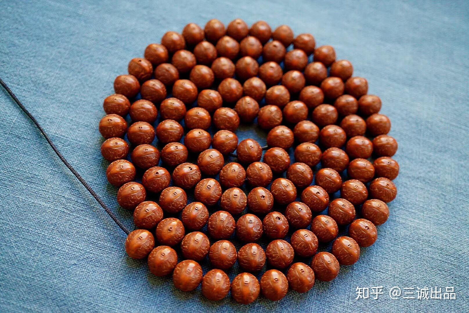 最美凤眼菩提 - 知乎