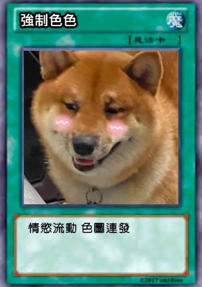 色色柴犬卡牌