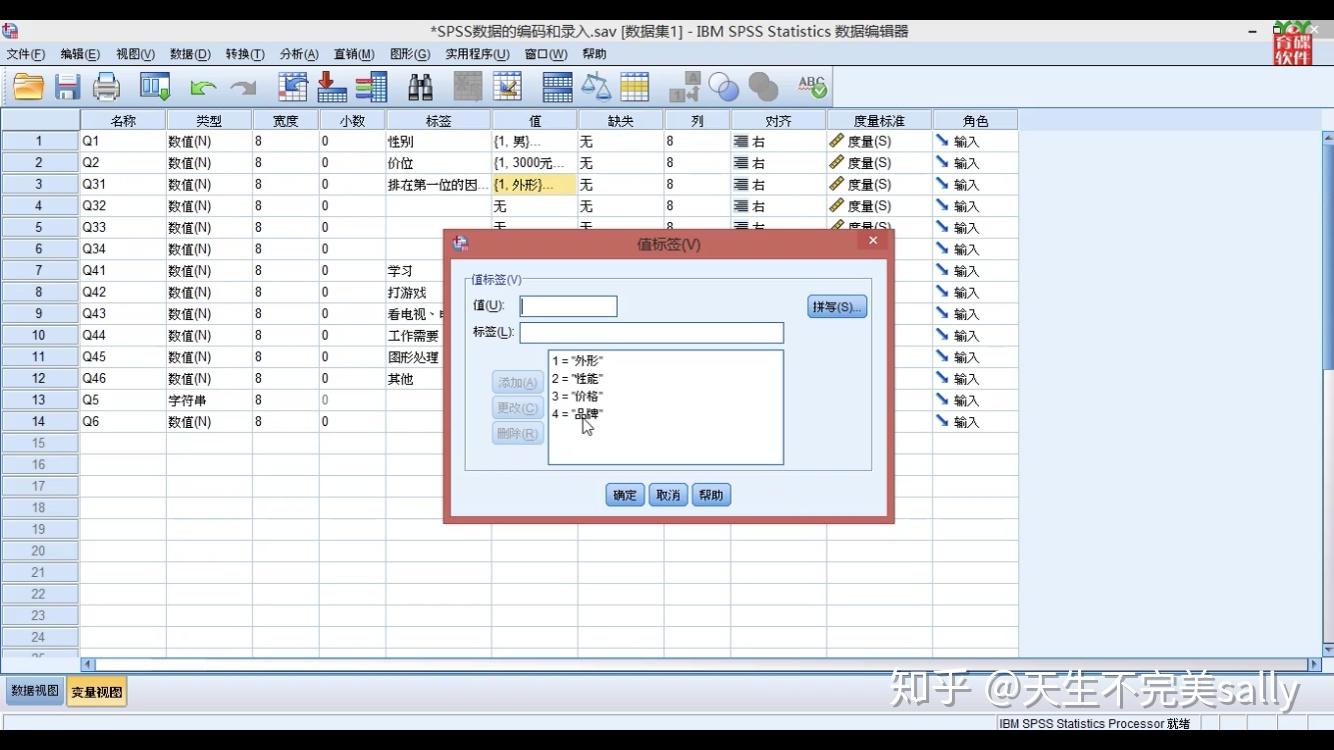 Редактор данных spss создает файл в формате