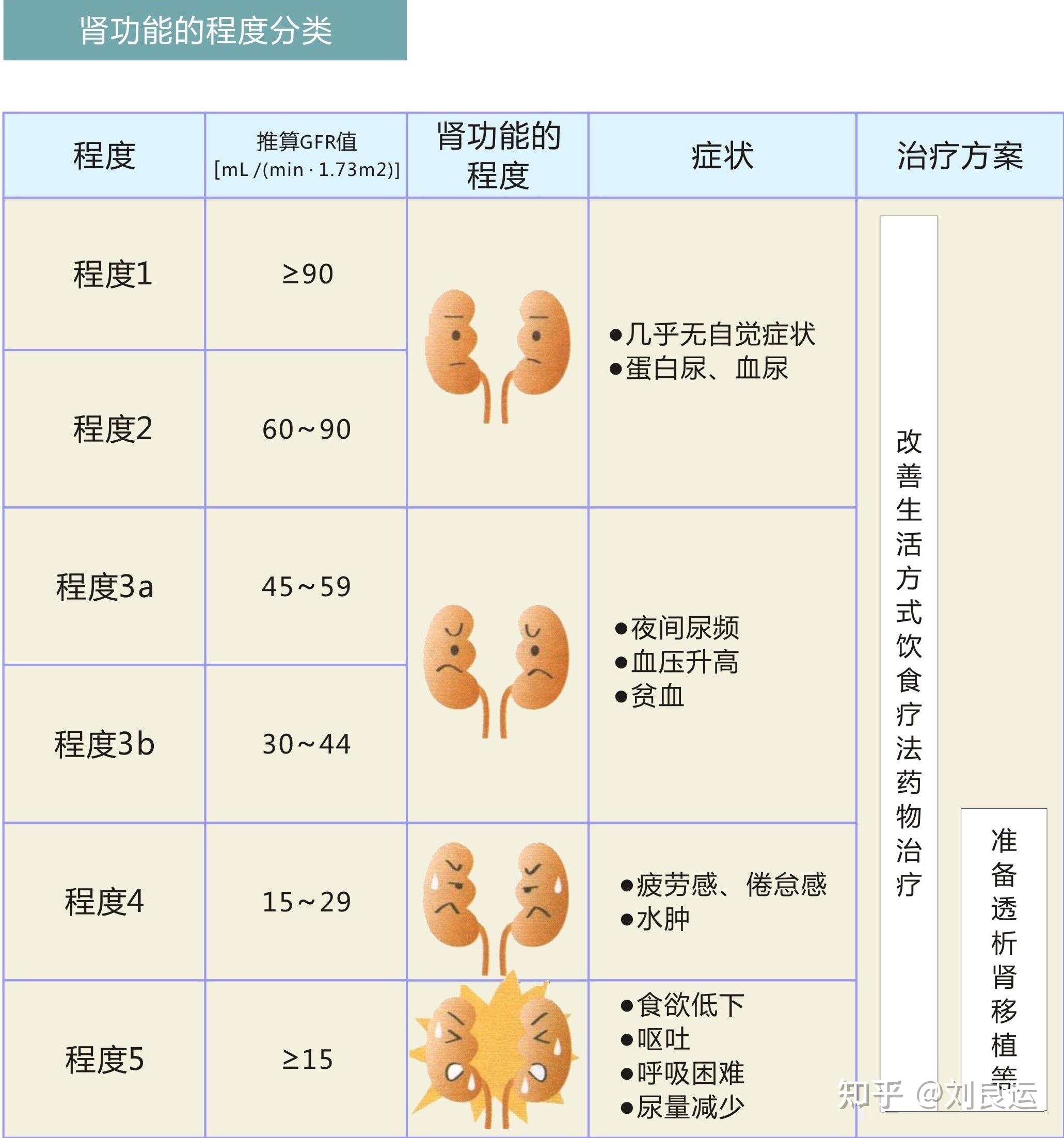 我的肌酐升高是降尿酸药物造成的吗?痛风请从四个方面改善肾功能