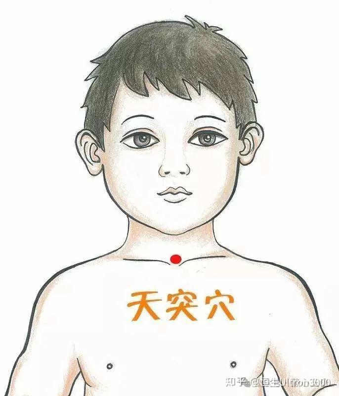 全身穴位图分解图示大全,看图对照找穴位 - 知乎