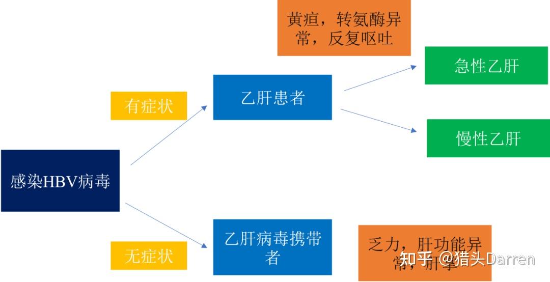 一文详解!乙肝的分布、诊断、传播、治疗/在研药物 - 知乎