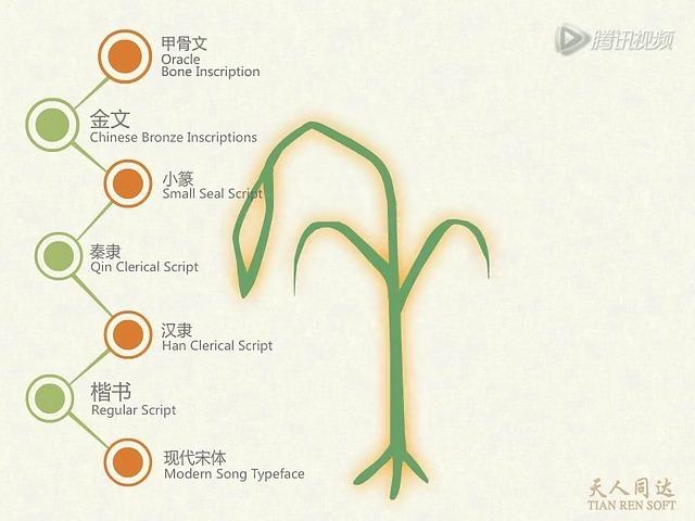 #分享漢字的智慧#之“禾”字。《说文解字》禾：嘉穀也。二月始生，八月而孰，得時之中，故謂之禾。禾，木也。木王而生，金王而死。从木，从𠂹省。𠂹象 ...