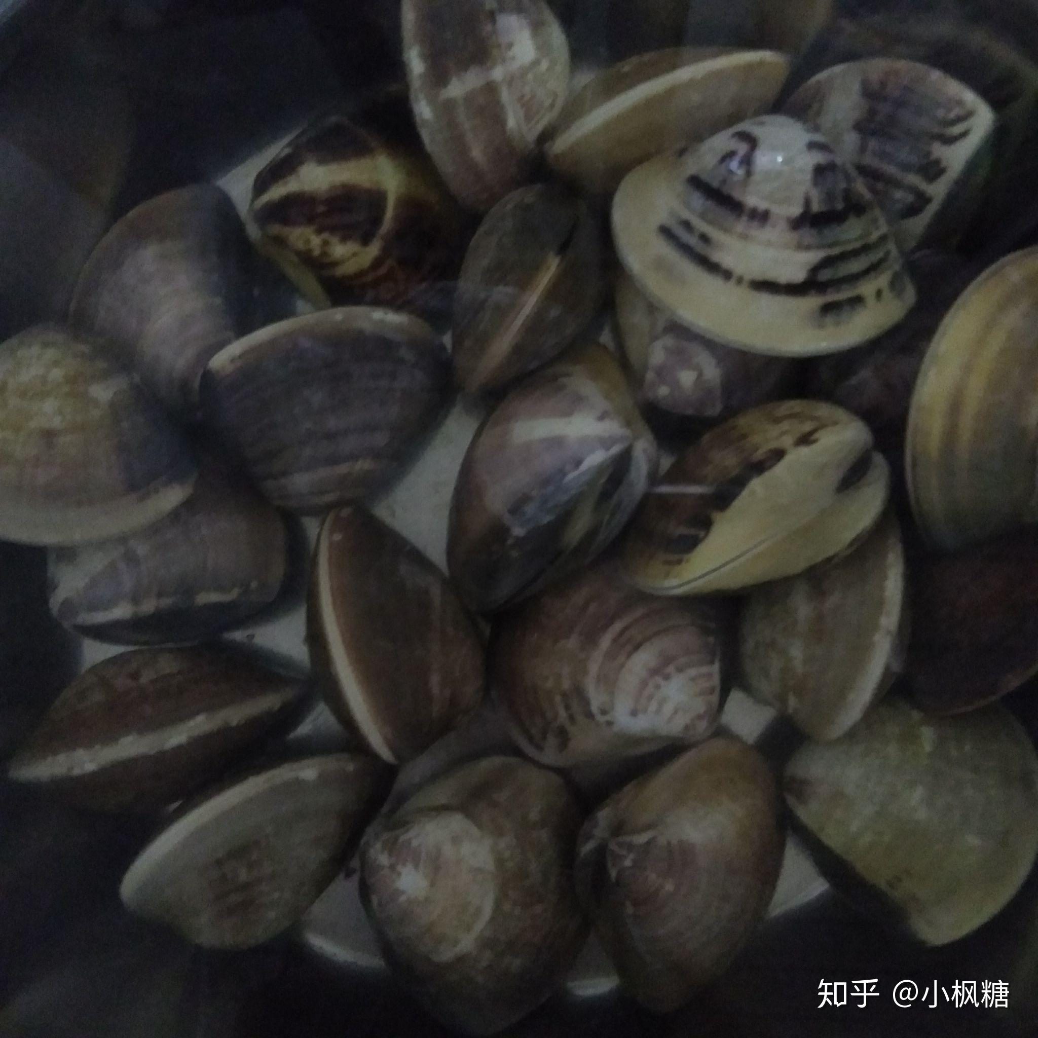 v2-bfb1a0685fd661c171f3c1d81494e97a_r.jpg