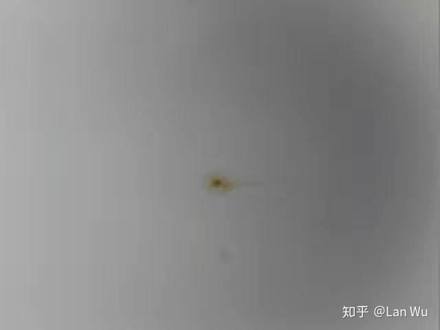 v2-bfb1e93807f5e7367843db828a91951e_r.jpg
