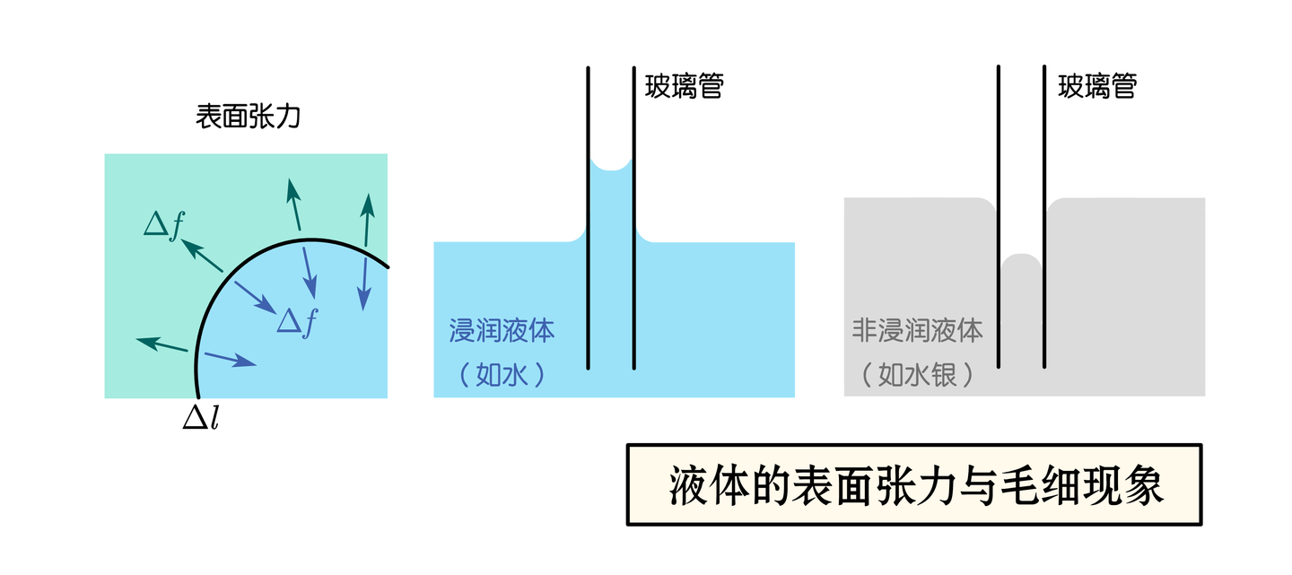 Stardust · 理论物理初阶】 篇十六· 流体力学：“干水”与“湿水”的