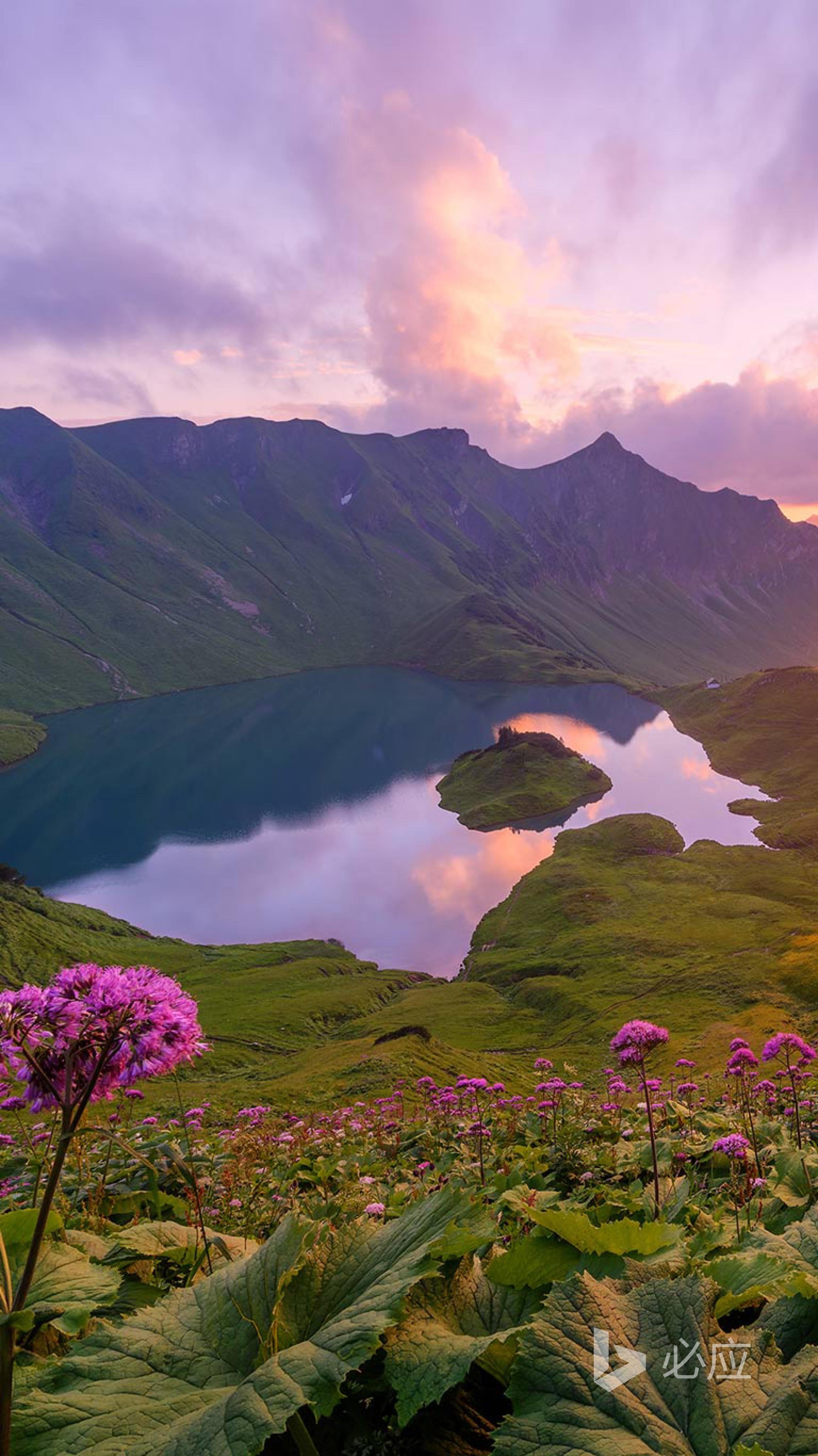 有哪些适合iphone12用的高清壁纸