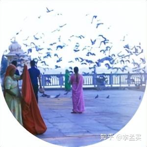 “三傻大闹宝莱坞”主角“兰彻”原型绝食 - 知乎