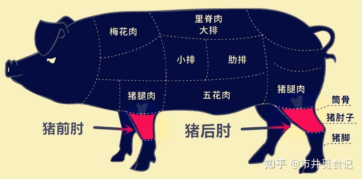 在家做猪脚饭,买“前肘”还是“后肘”?区别太大了,别被糊弄了 - 知乎