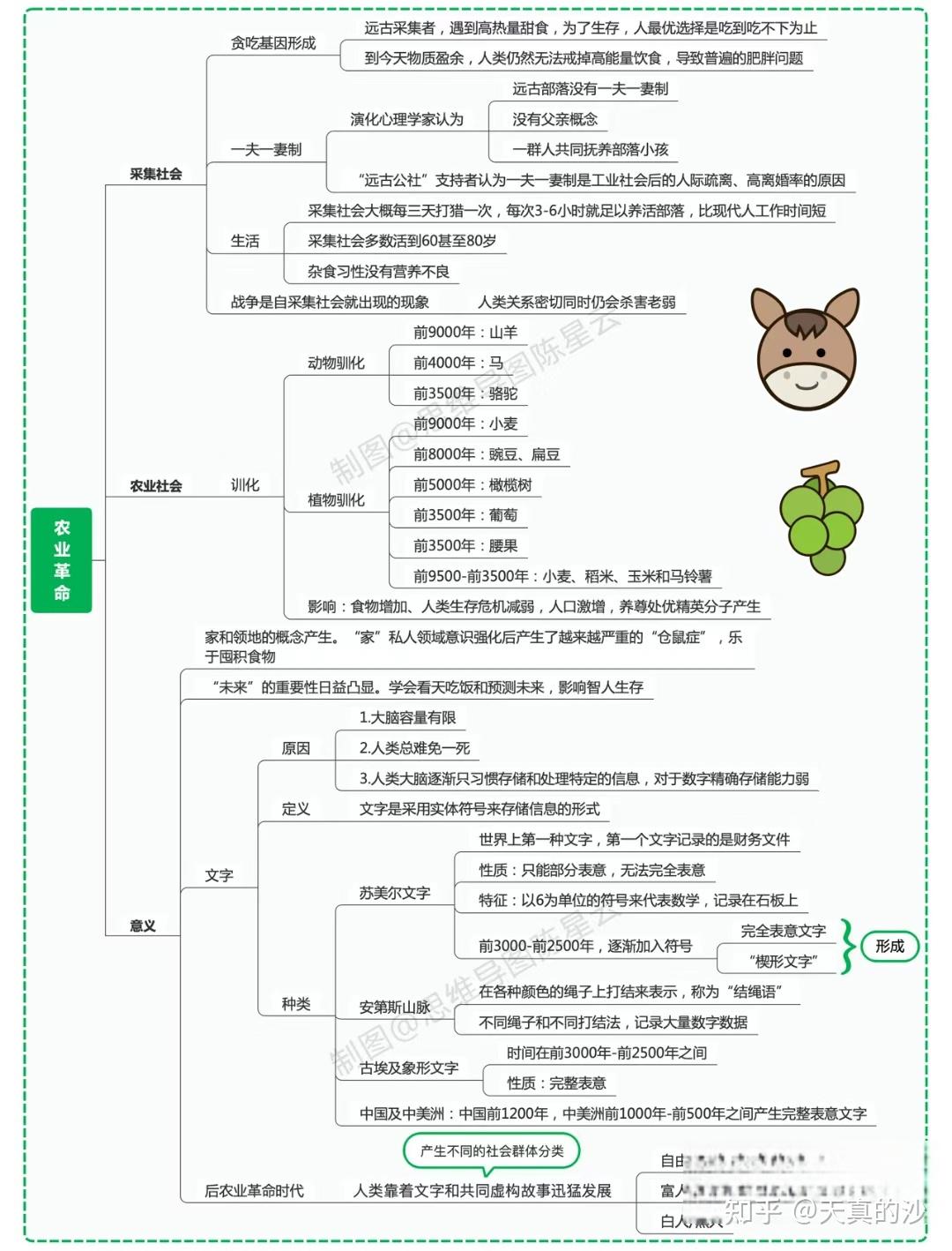 未来简史思维导图高清图片