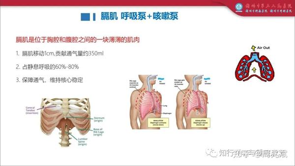 机械通气患者的吸气肌训练:循证与实践 - 知乎