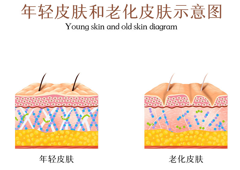 衰老可抗不可逆,平时要重视哪些方面 - 知乎