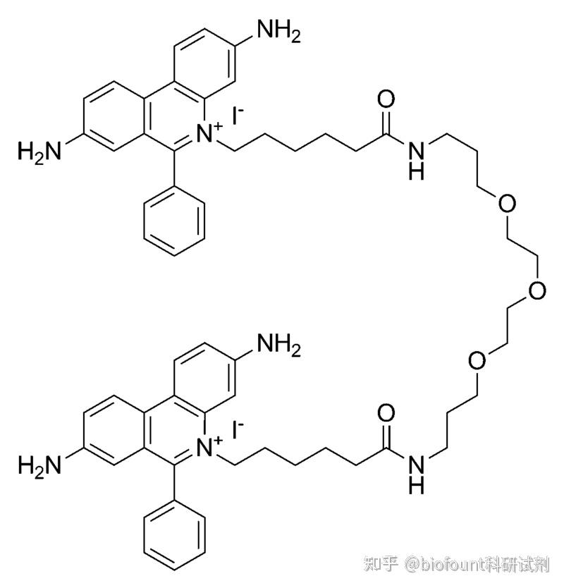 gelred核酸染料图片