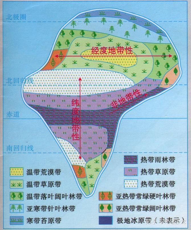 陆地自然带概念图片