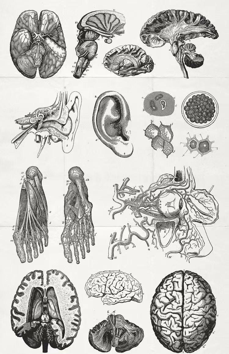 【插画】NO.3 插画风格 | 史上最全整理 |多图预警